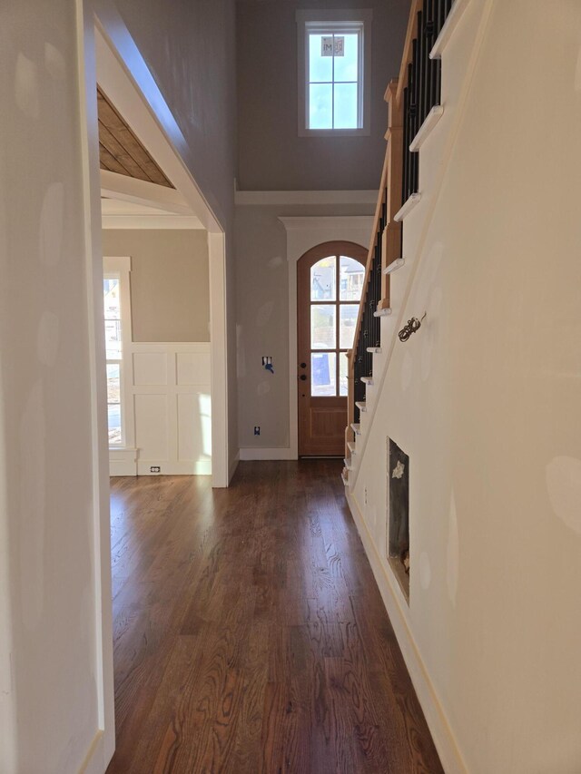 entryway featuring dark hardwood / wood-style floors and a high ceiling