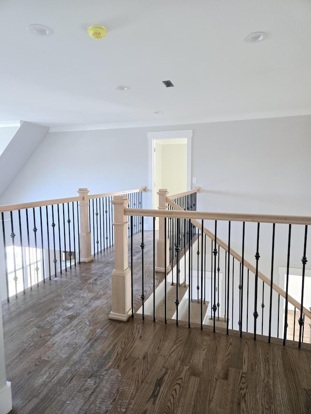 hallway with dark wood-type flooring