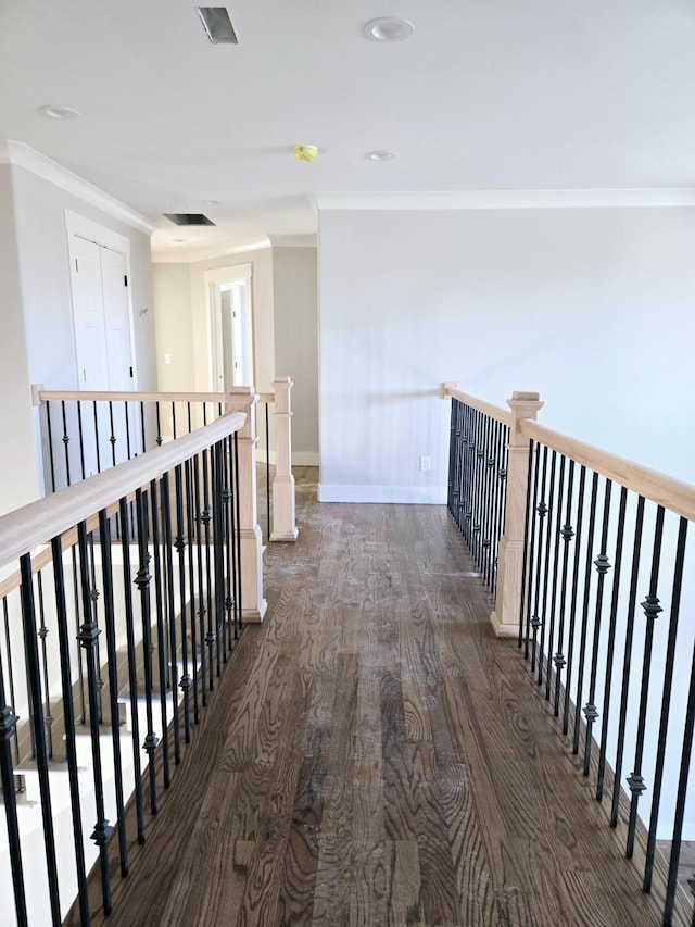 corridor featuring crown molding and dark hardwood / wood-style floors