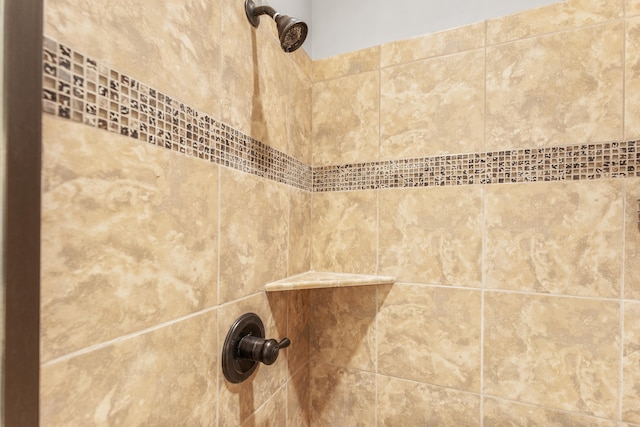 interior details featuring tiled shower