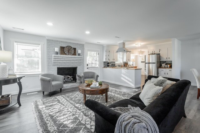 living room featuring a fireplace and dark hardwood / wood-style flooring