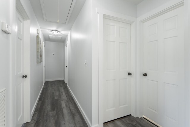 corridor with dark wood-type flooring