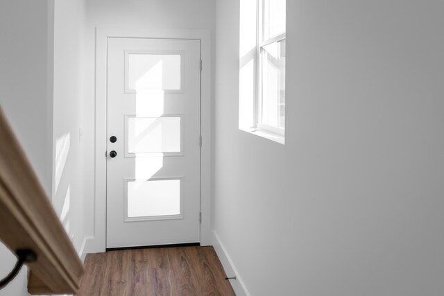 doorway to outside featuring dark hardwood / wood-style flooring