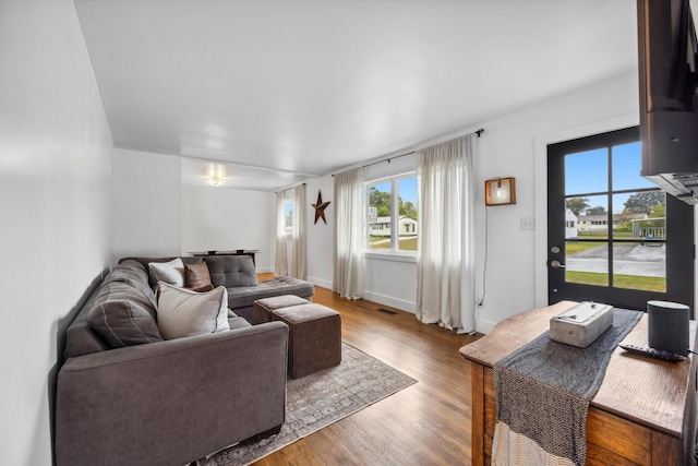 living room with hardwood / wood-style flooring