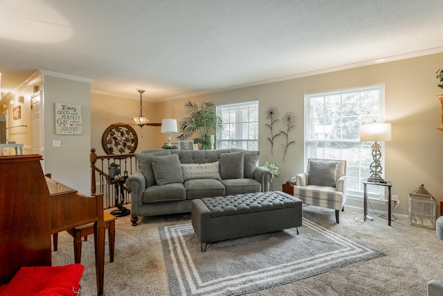 living room featuring crown molding, carpet flooring, and a textured ceiling