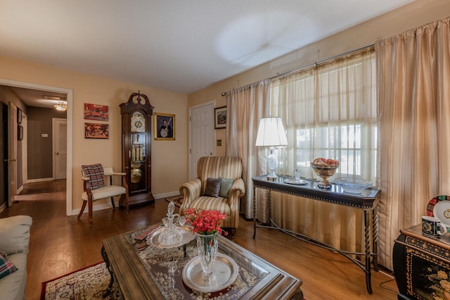 sitting room featuring hardwood / wood-style flooring