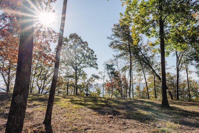 Listing photo 3 for 3367 River Gorge Dr Lot 1404, Chattanooga TN 37419