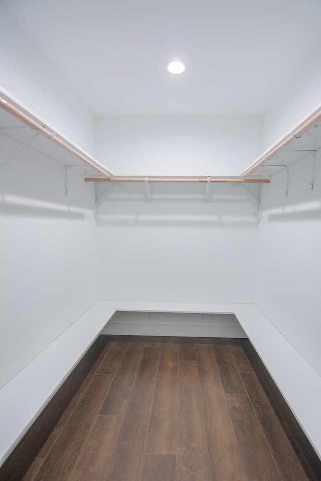 spacious closet featuring dark hardwood / wood-style floors