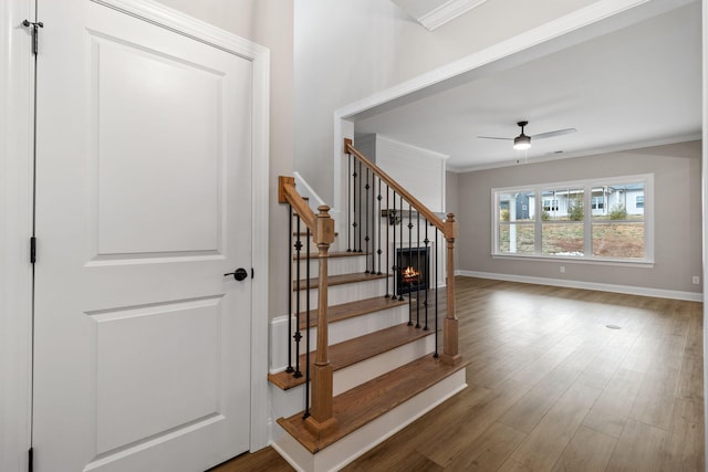 stairs with hardwood / wood-style flooring, crown molding, and ceiling fan