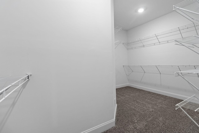 walk in closet featuring dark colored carpet