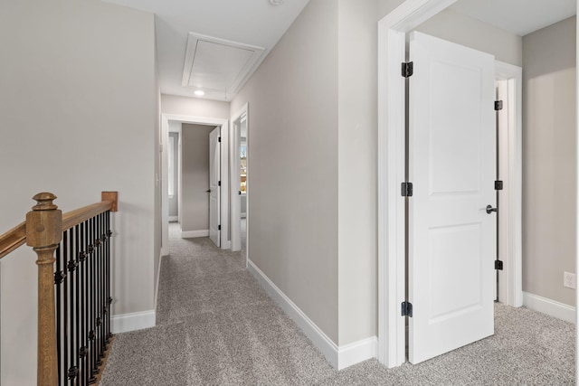 hallway featuring carpet flooring