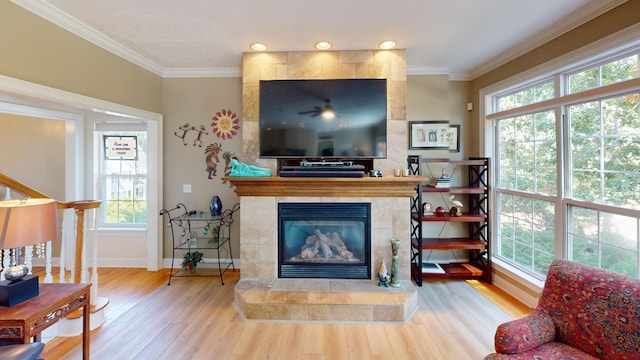 living room with crown molding, a fireplace, and hardwood / wood-style flooring