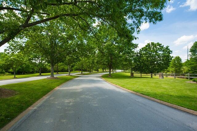 view of road