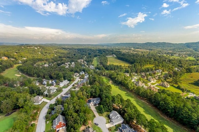 bird's eye view