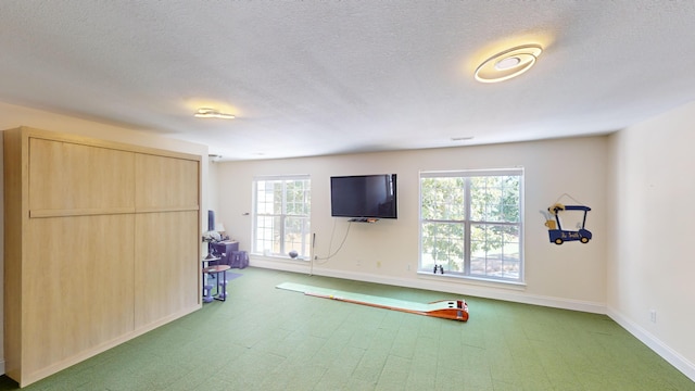 exercise area with a textured ceiling, plenty of natural light, and carpet