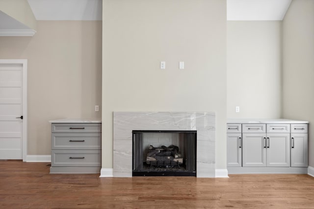 interior details featuring a high end fireplace and wood-type flooring