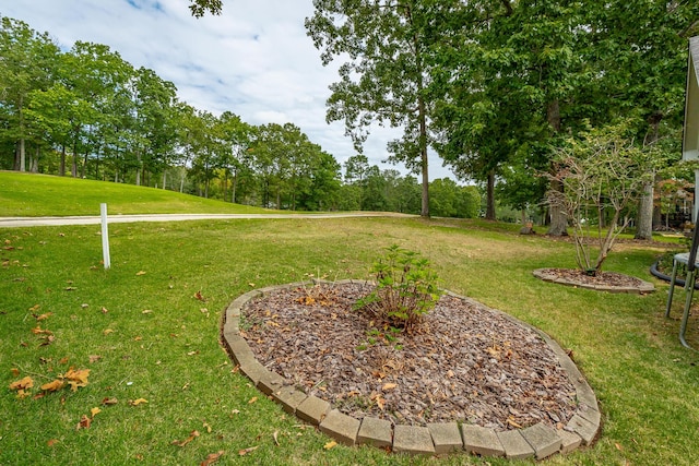 106 Woodpecker Pl, Ringgold, GA 30736 - view of yard