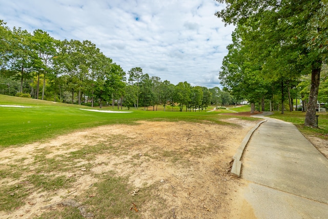 view of property's community with a yard