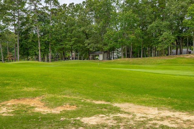 view of home's community with a lawn