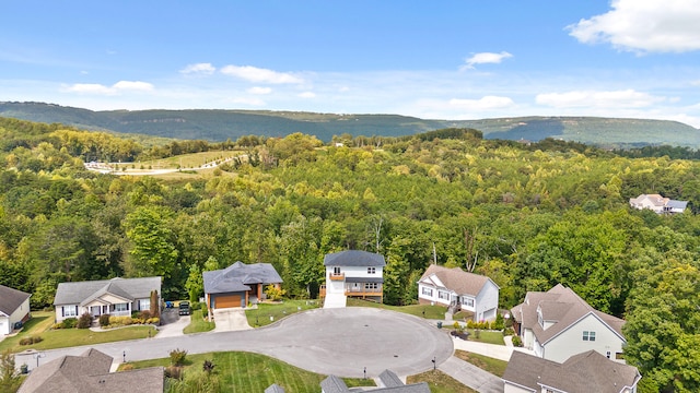 birds eye view of property featuring a mountain view