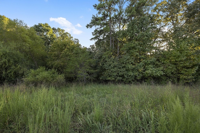 2124 Boat Hook Ln, Sale Creek, TN 37373