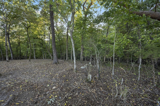 2124 Boat Hook Ln, Sale Creek, TN 37373