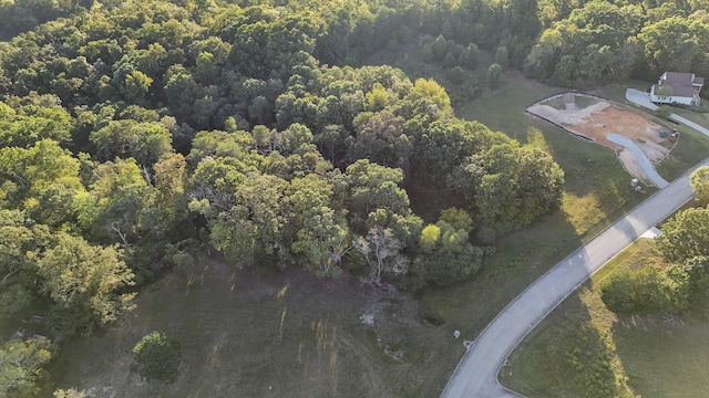 2124 Boat Hook Ln, Sale Creek, TN 37373
