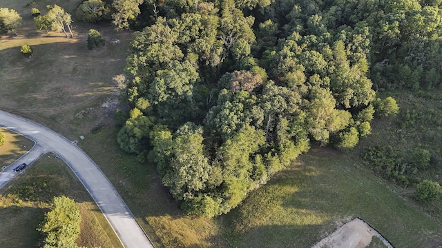 2124 Boat Hook Ln, Sale Creek, TN 37373