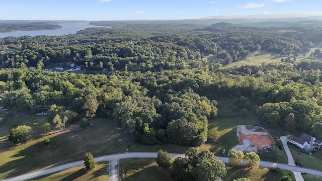 2124 Boat Hook Ln, Sale Creek, TN 37373