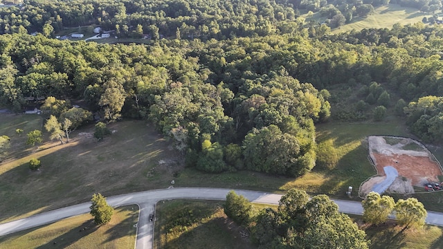 2124 Boat Hook Ln, Sale Creek, TN 37373