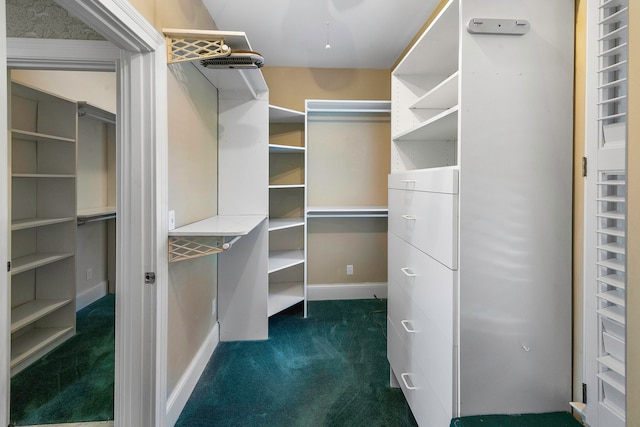 spacious closet featuring dark carpet