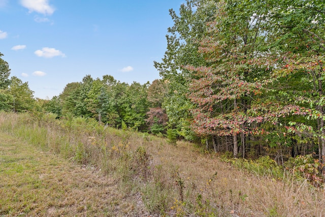 view of local wilderness