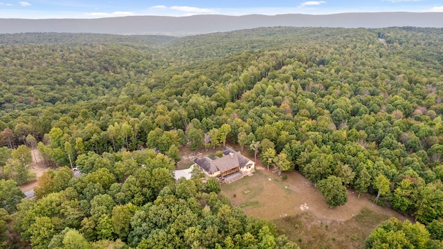 bird's eye view featuring a mountain view