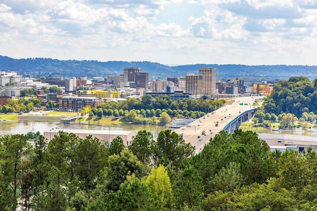 city view featuring a water and mountain view