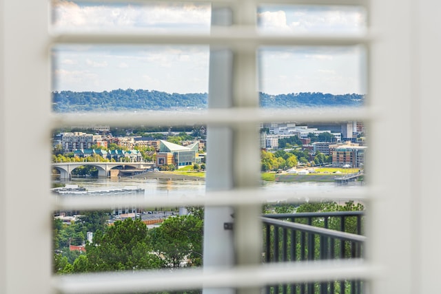 details featuring radiator heating unit and a water view