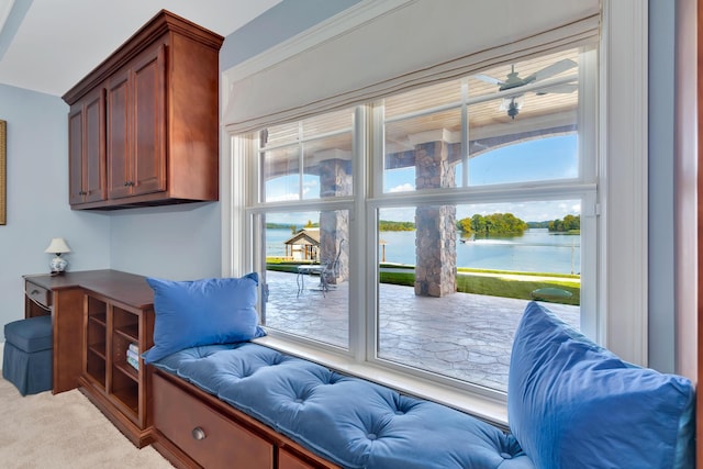 doorway with carpet floors, a healthy amount of sunlight, and a water view