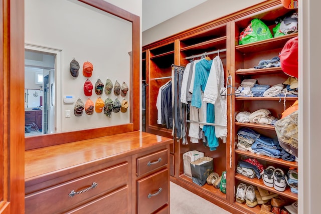 walk in closet featuring light carpet