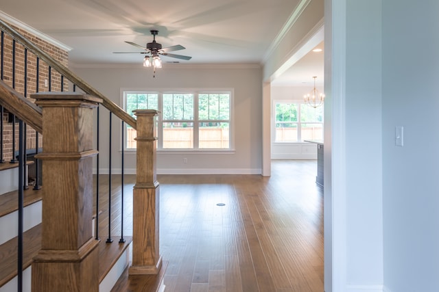 interior space with ornamental molding, hardwood / wood-style floors, and plenty of natural light