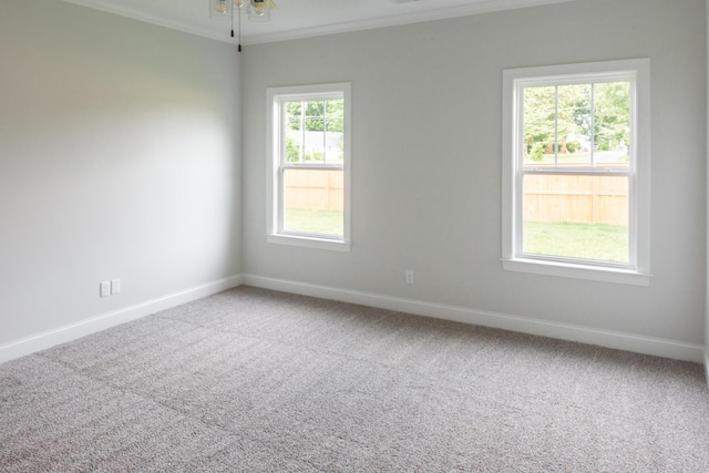 spare room with crown molding, carpet floors, and ceiling fan