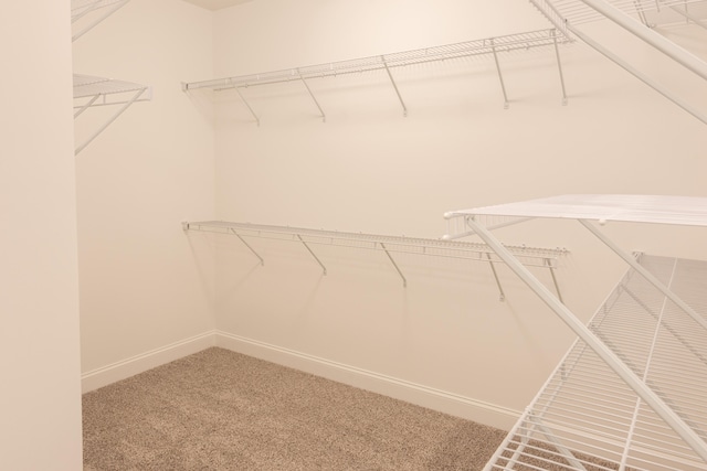 spacious closet with carpet flooring