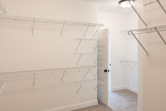 spacious closet featuring carpet floors