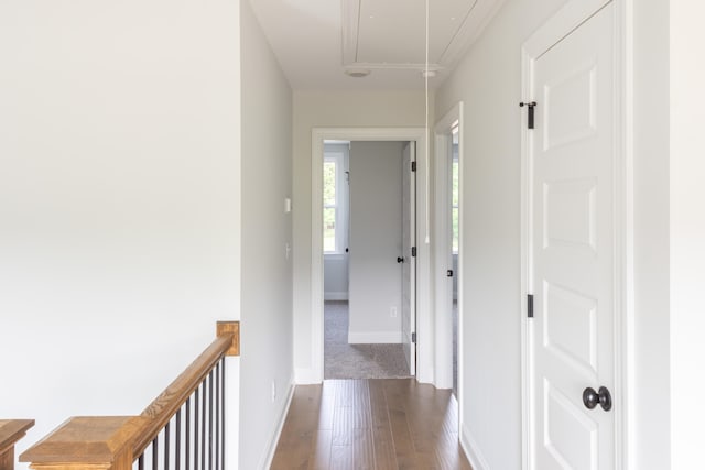 hall with dark wood-type flooring