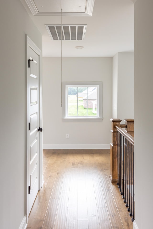 corridor featuring light hardwood / wood-style flooring