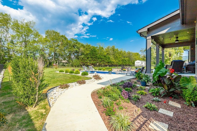 view of yard with a patio, a fenced in pool, and ceiling fan