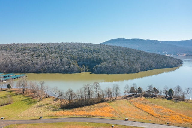 0 Edgewater Way Unit 170, Jasper TN, 37347 land for sale