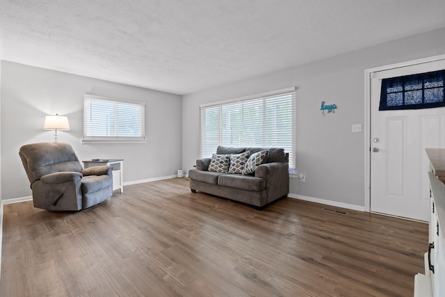 living room featuring a textured ceiling and hardwood / wood-style flooring