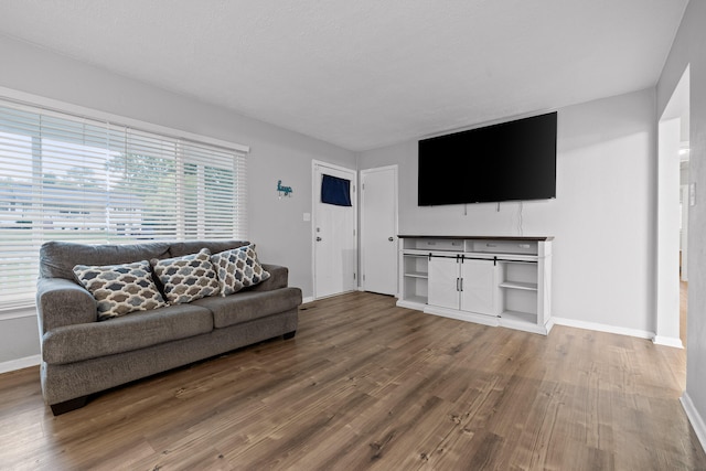 living room featuring a textured ceiling and hardwood / wood-style flooring