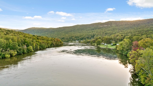 property view of water with a mountain view