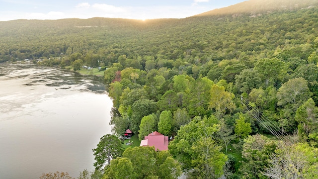 bird's eye view featuring a water and mountain view