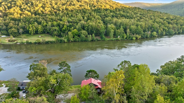 property view of water featuring a mountain view